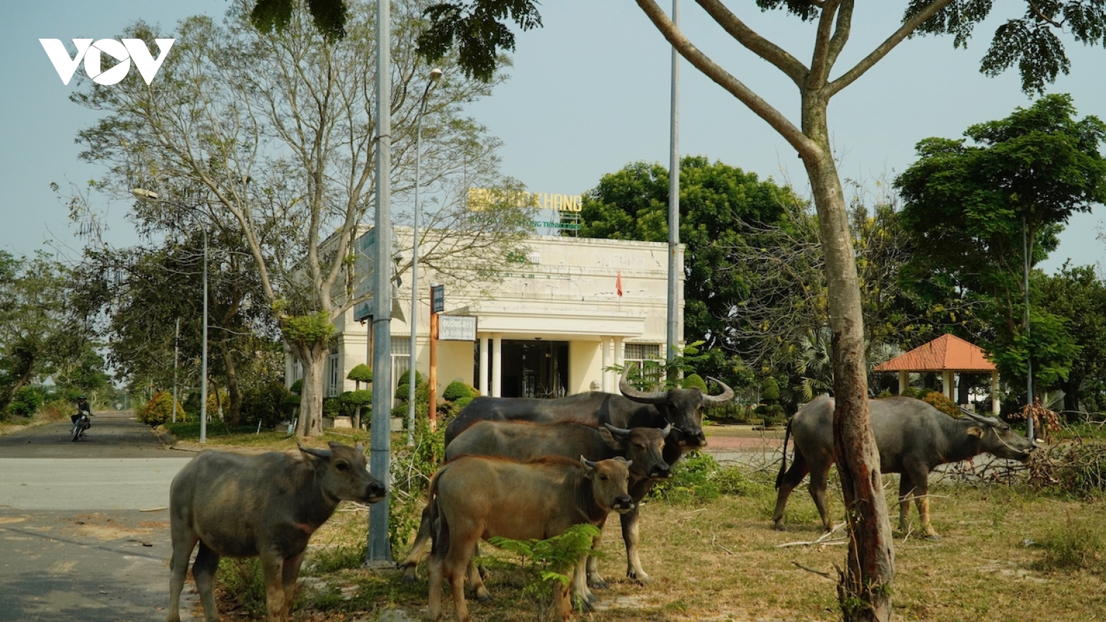 Cơn "sốt đất" đã lan đến Nhơn Trạch, Đồng Nai?