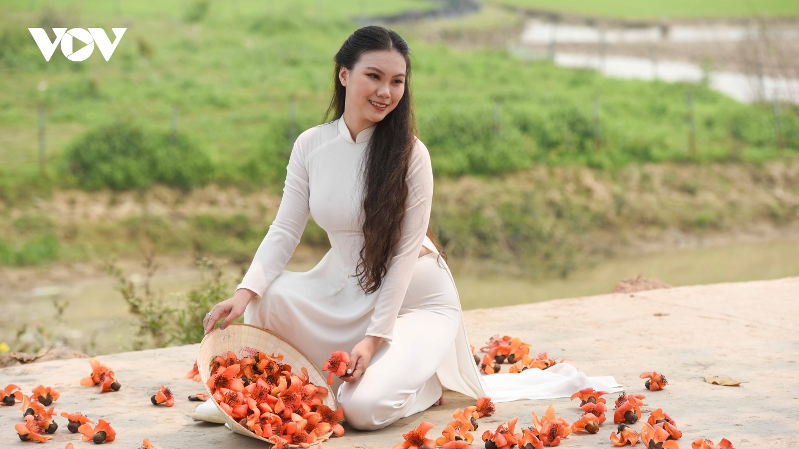 Du khách nô nức chụp ảnh bên cây gạo hơn 200 tuổi nở hoa rực rỡ ở Bắc Giang