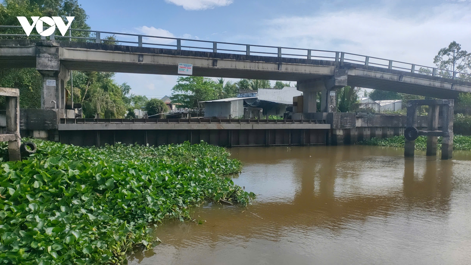 Mặn tăng cao đột biến trong đợt triều cường giữa tháng 3 này ở Hậu Giang