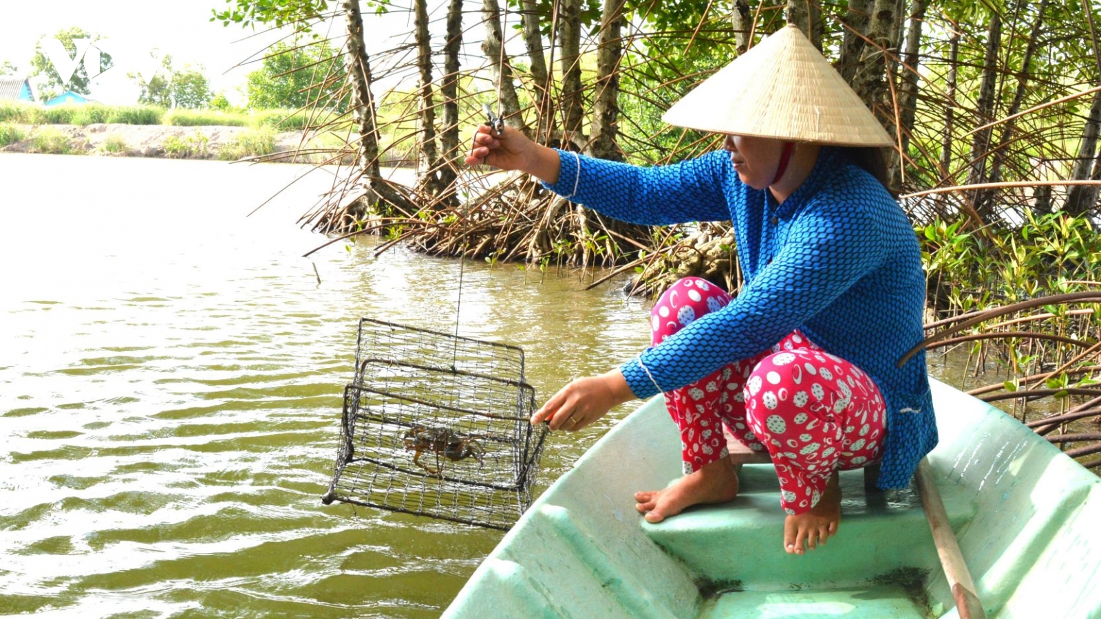 Cà Mau tổ chức Ngày hội Cua lần thứ 2