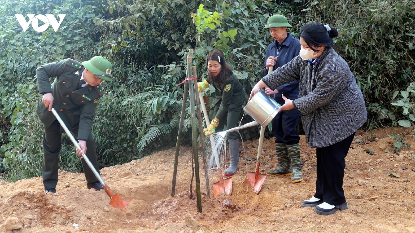 Bắc Kạn đặt mục tiêu trồng mới 3.500ha rừng trong năm 2025