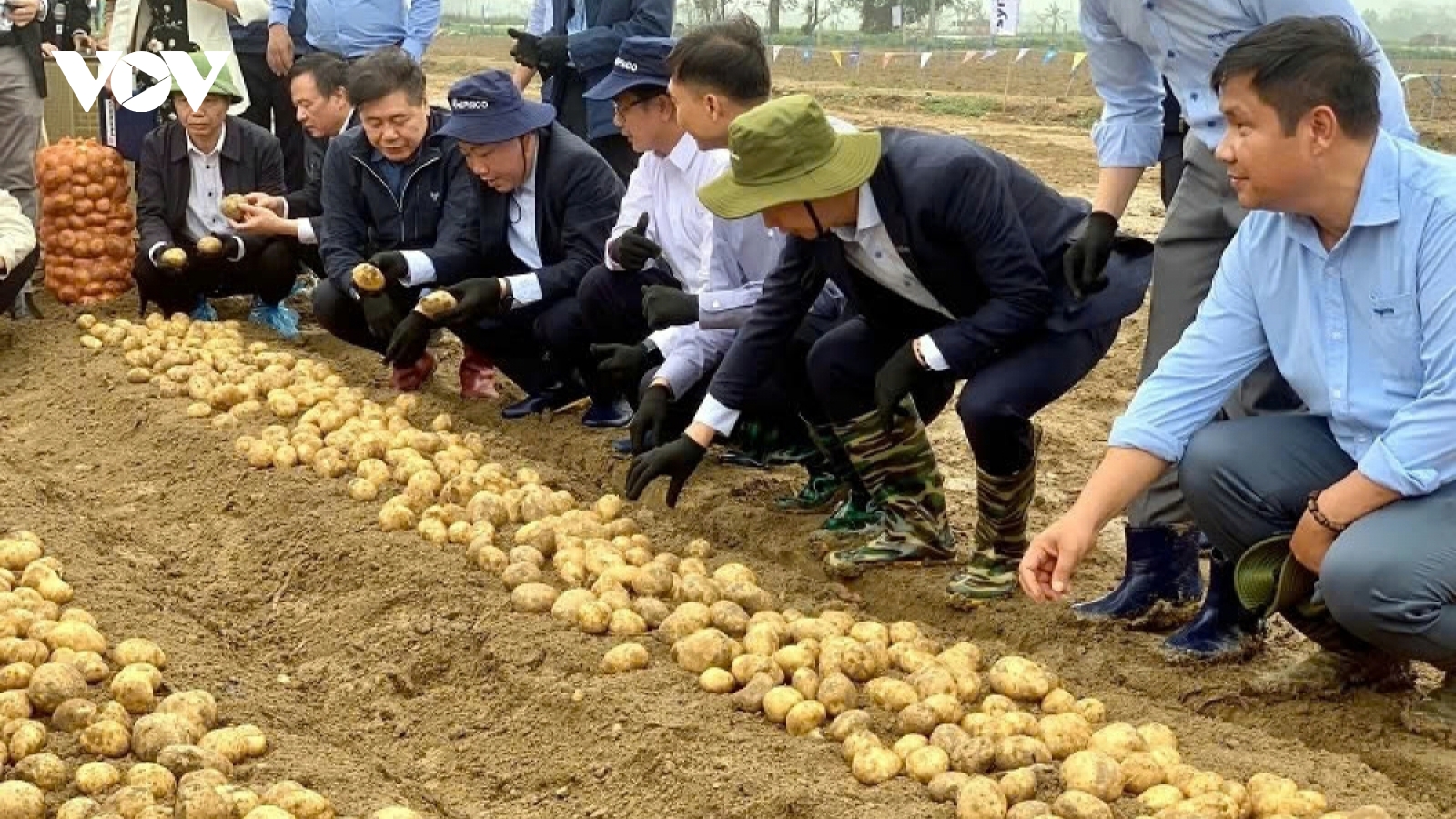 Hợp tác công tư trong nông nghiệp: Lợi ích kép cho sản xuất