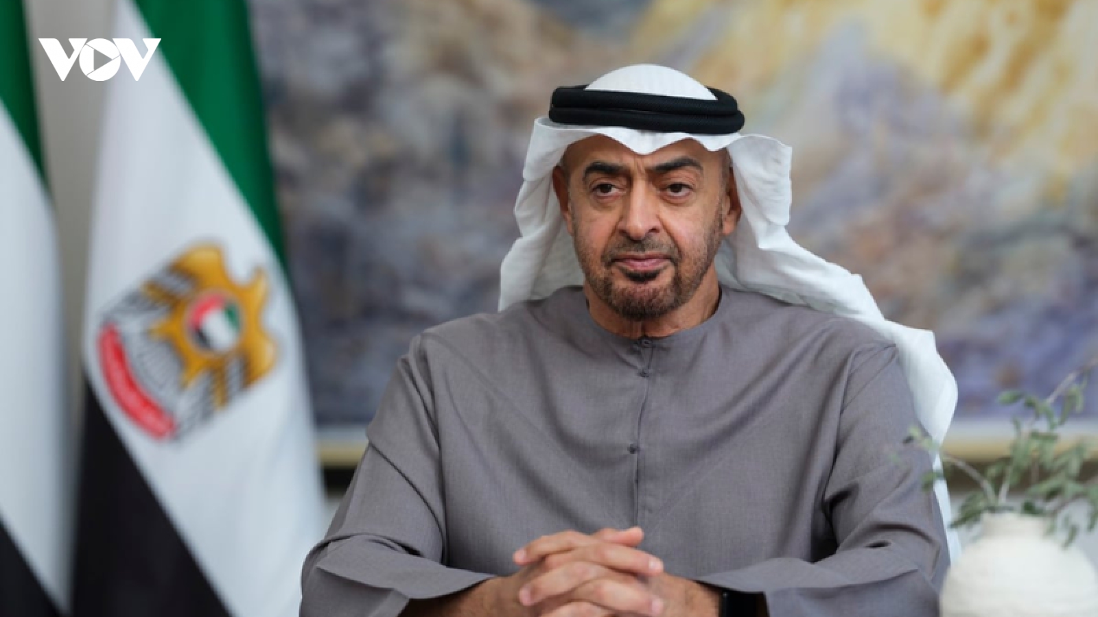 Tổng thống UAE và Tổng thống Mỹ thảo luận về nỗ lực ngừng bắn ở Gaza
