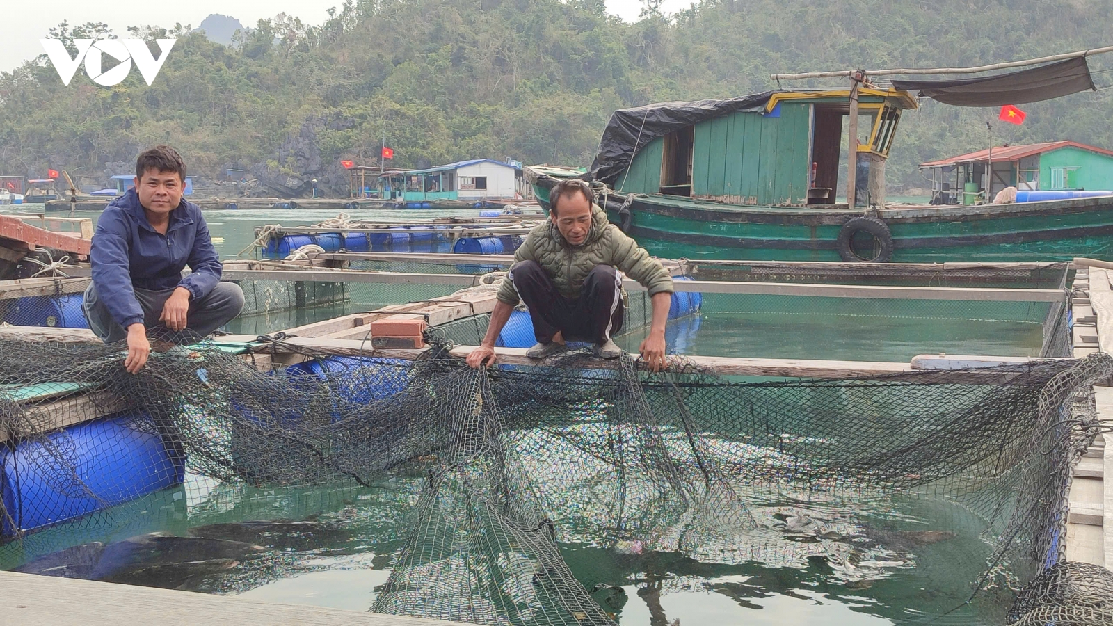 Quảng Ninh tháo gỡ khó khăn cho cấp phép nuôi trồng thủy sản trên biển