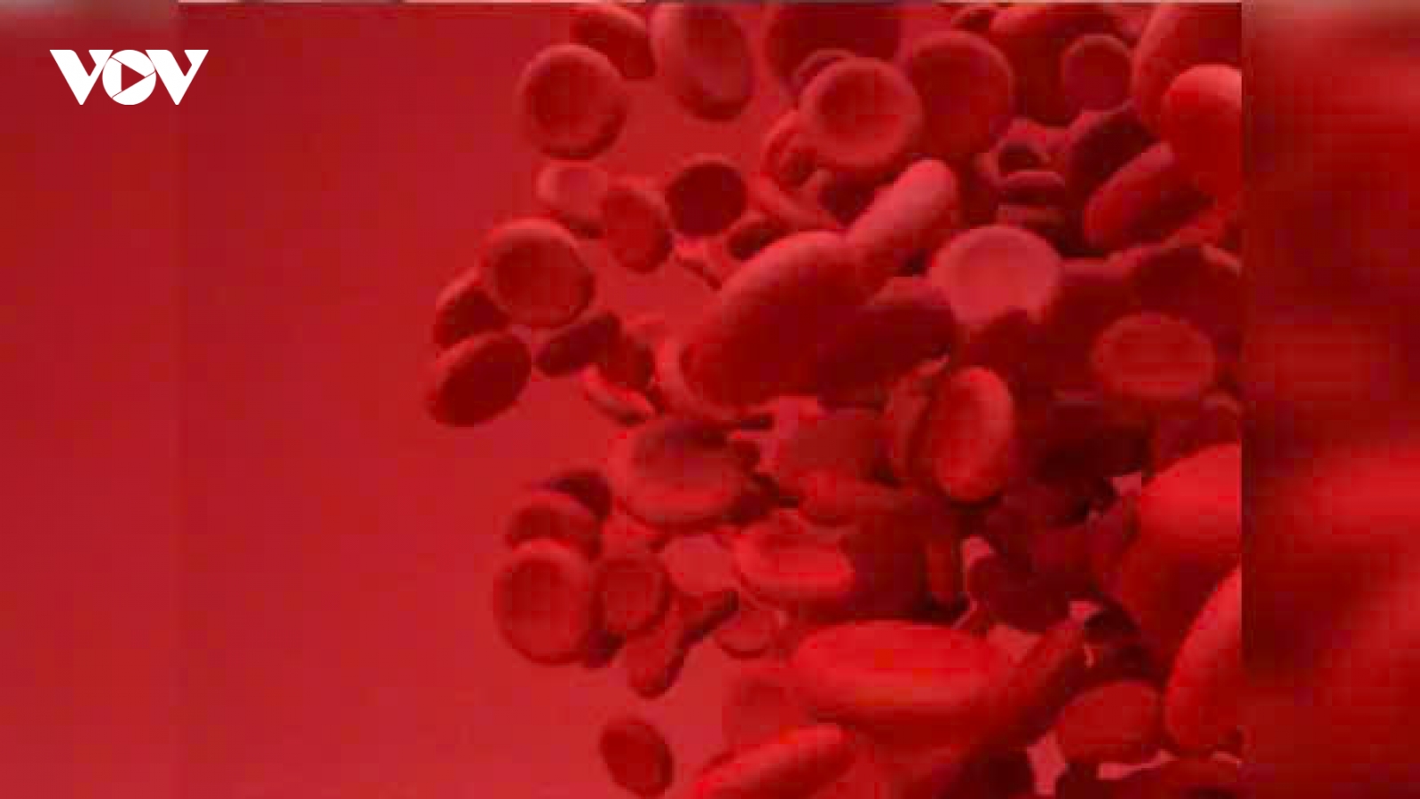 Những loại thực phẩm giúp tăng nồng độ hemoglobin một cách tự nhiên