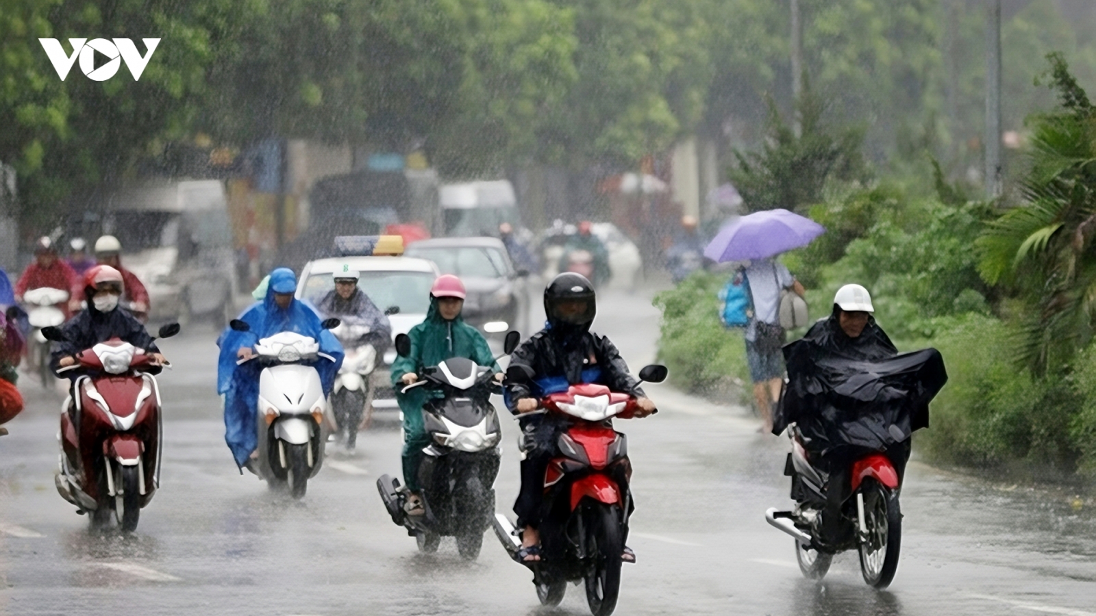 Thời tiết ngày 1/4: Bắc Bộ và Bắc Trung Bộ có mưa vài nơi, trời rét
