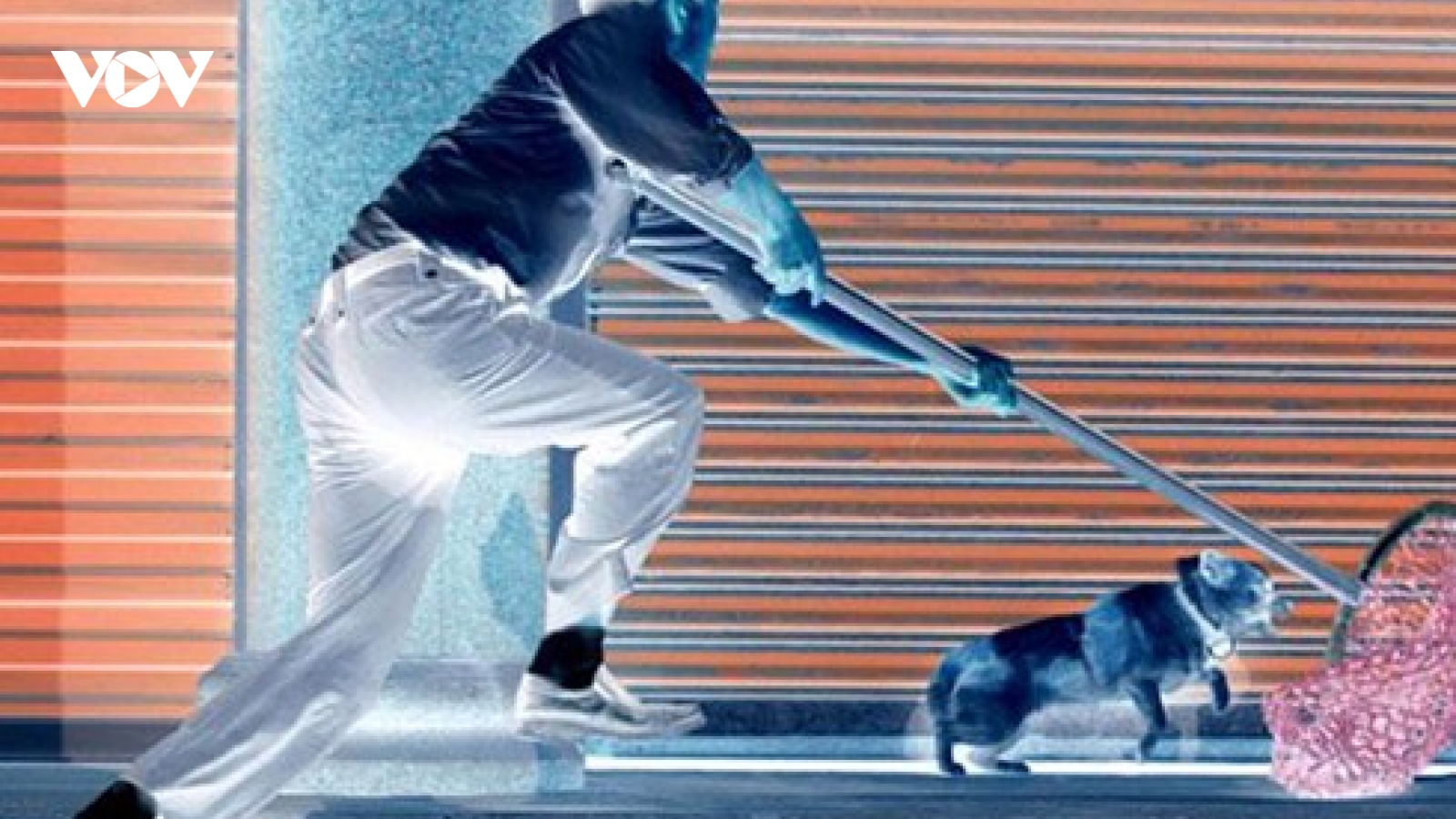 Truy đuổi trộm chó, 3 người chết: 4 nghi phạm ra đầu thú