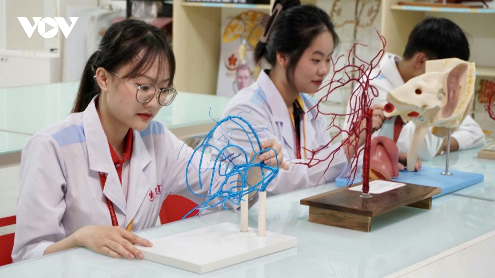 Đắk Lắk với bài toán nâng cao chất lượng nguồn nhân lực