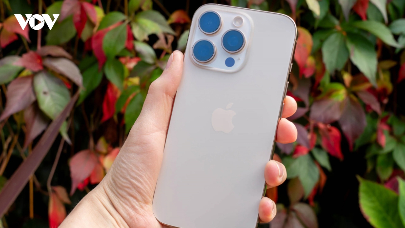 Apple tăng cường gửi iPhone và đồ điện tử sang Mỹ để tránh thuế