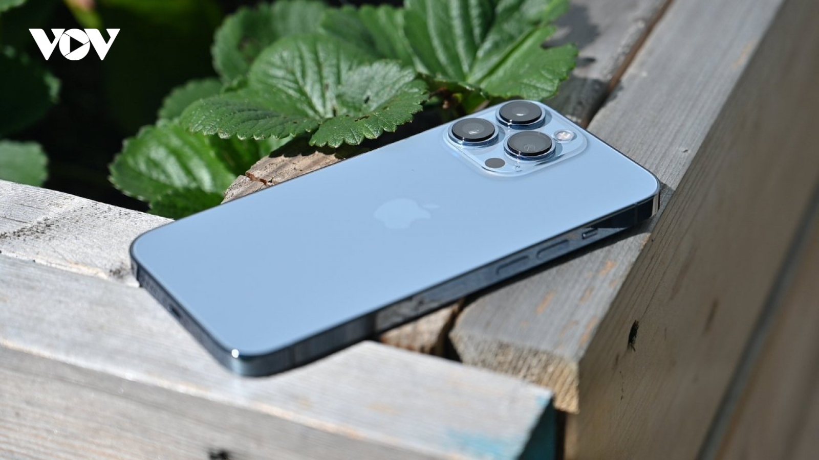 Đây là lựa chọn màu sắc iPhone 17 Pro có thể càn quét tại các cửa hàng