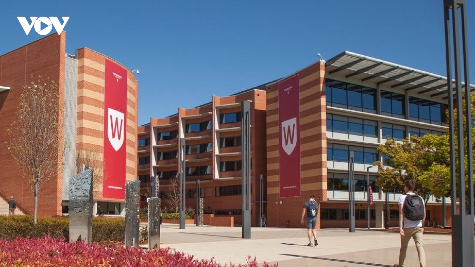 Giảm sinh viên quốc tế, trường đại học tại Australia cắt giảm nhiều lao động
