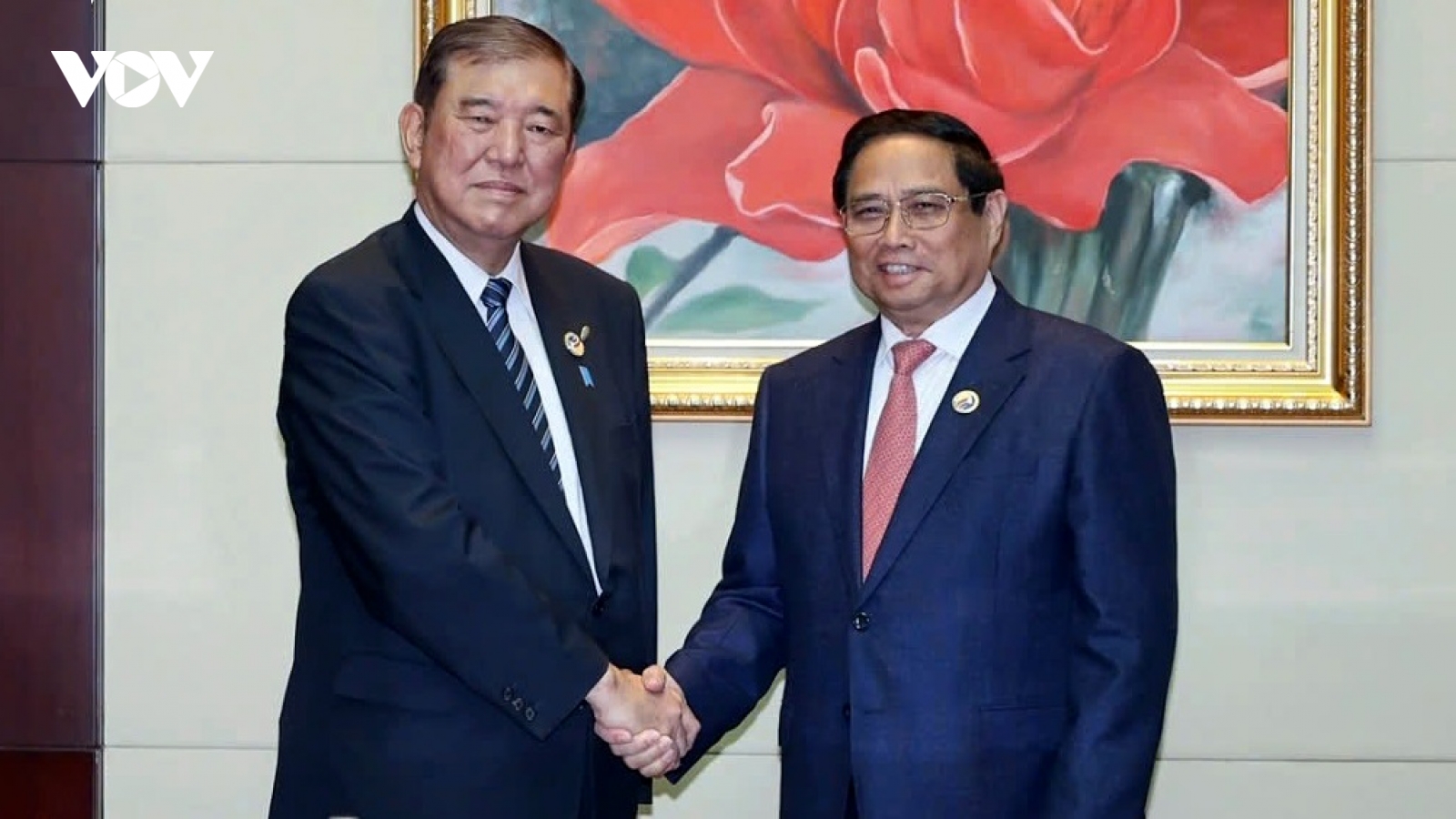 Japanese expert stresses importance of Vietnam – Japan cooperation