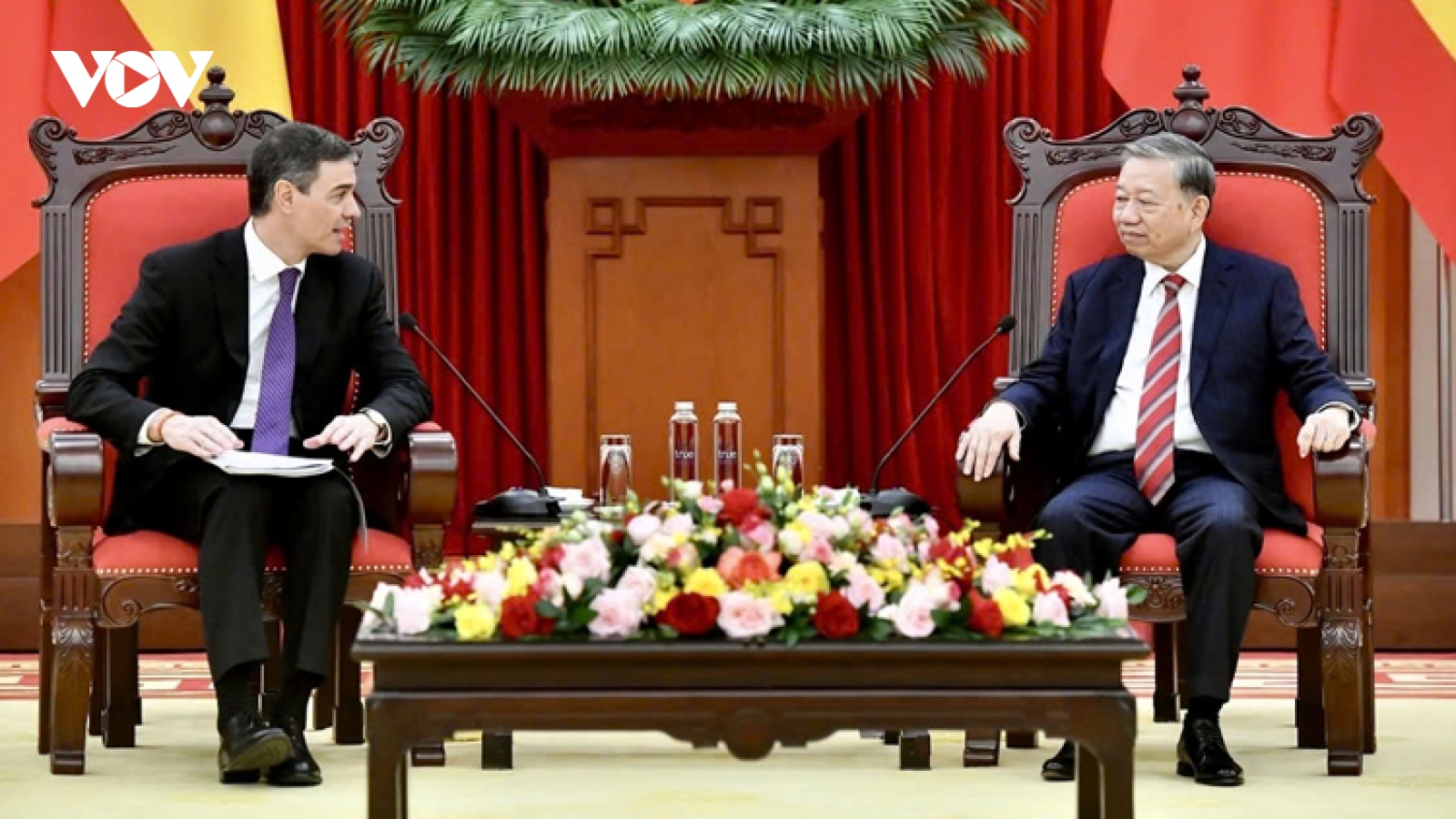 Vietnam wishes to deepen cooperation in all areas with Spain, says Party leader