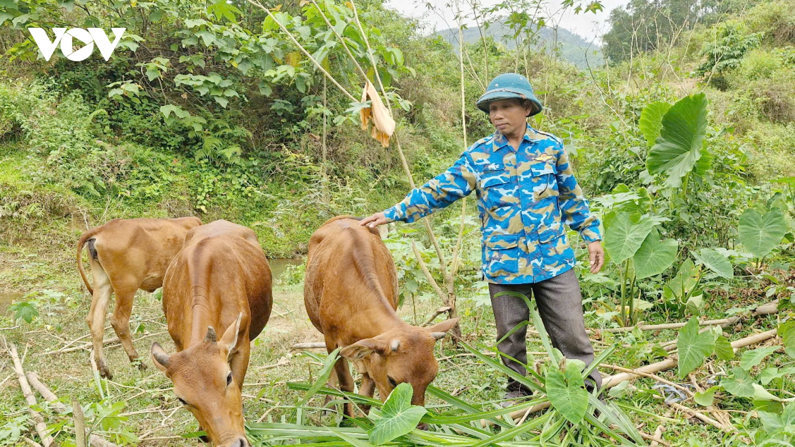 Giảm nghèo ở vùng biên giới Nam Giang, Quảng Nam