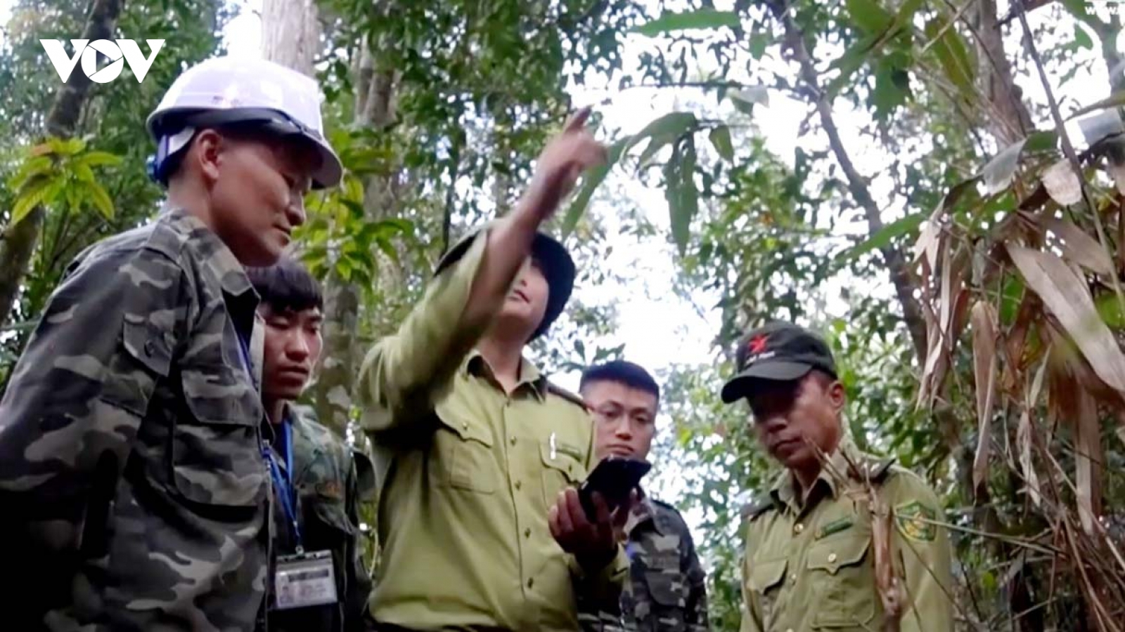 Lào Cai yêu cầu không đốt nương khi cảnh báo nguy cơ cháy rừng ở cấp nguy hiểm