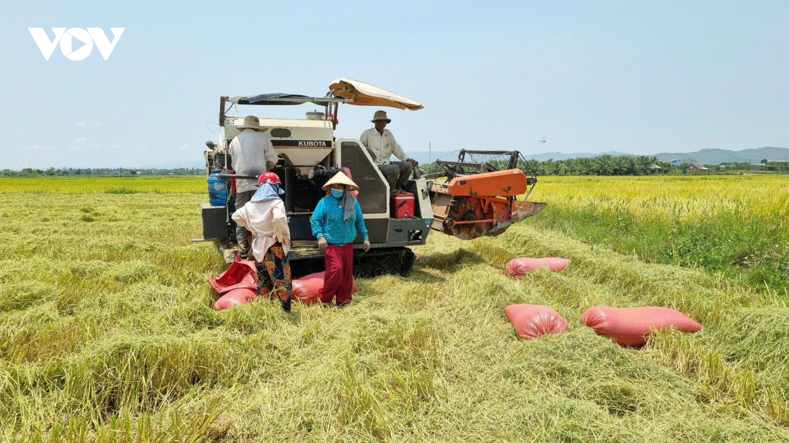 Đại thủy nông Ayun Hạ, sức sống cho vùng chảo lửa khô cằn