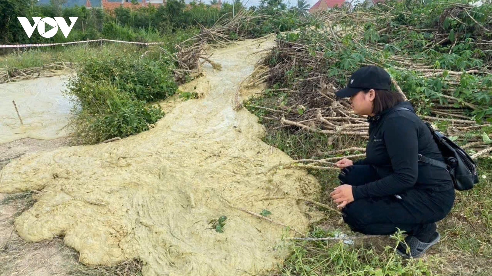 Xuất hiện tình trạng bùn trào lên từ lòng đất ở Phú Yên