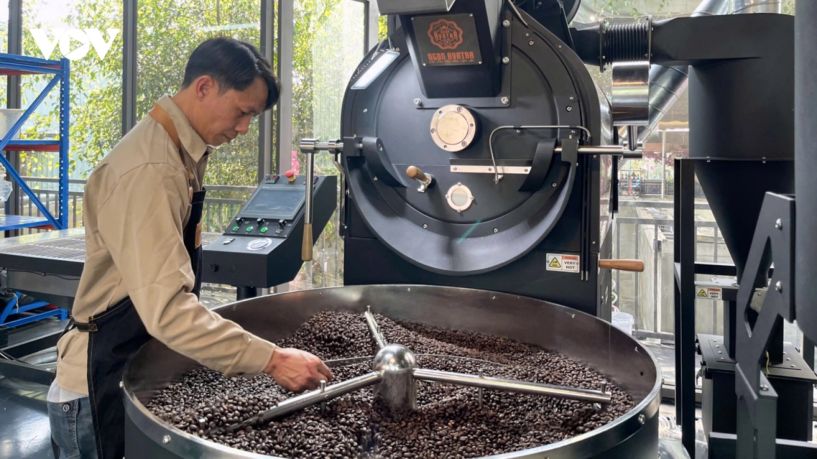 Giá cà phê hôm nay 20/9: Giá cà phê trong nước cao nhất 116.500 đồng/kg