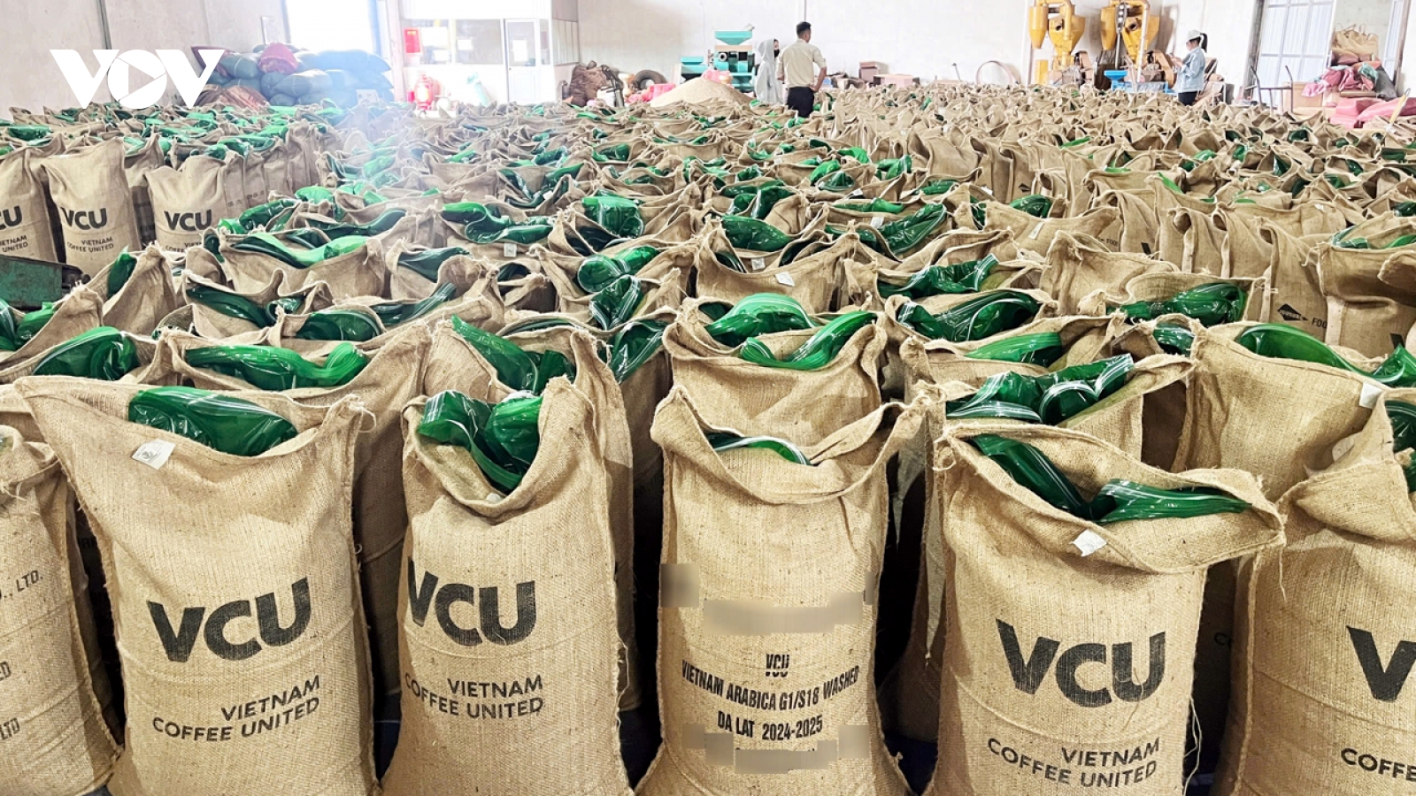 Giá cà phê hôm nay 26/5: Cà phê trong nước giữ mốc 122.500 đồng/kg