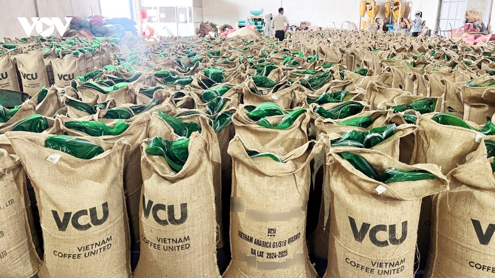Giá cà phê hôm nay 26/5: Cà phê trong nước giữ mốc 122.500 đồng/kg