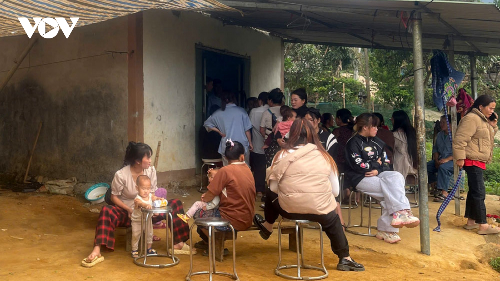 Một phụ nữ ở Lai Châu tử vong nghi ngộ độc do ăn nấm dại