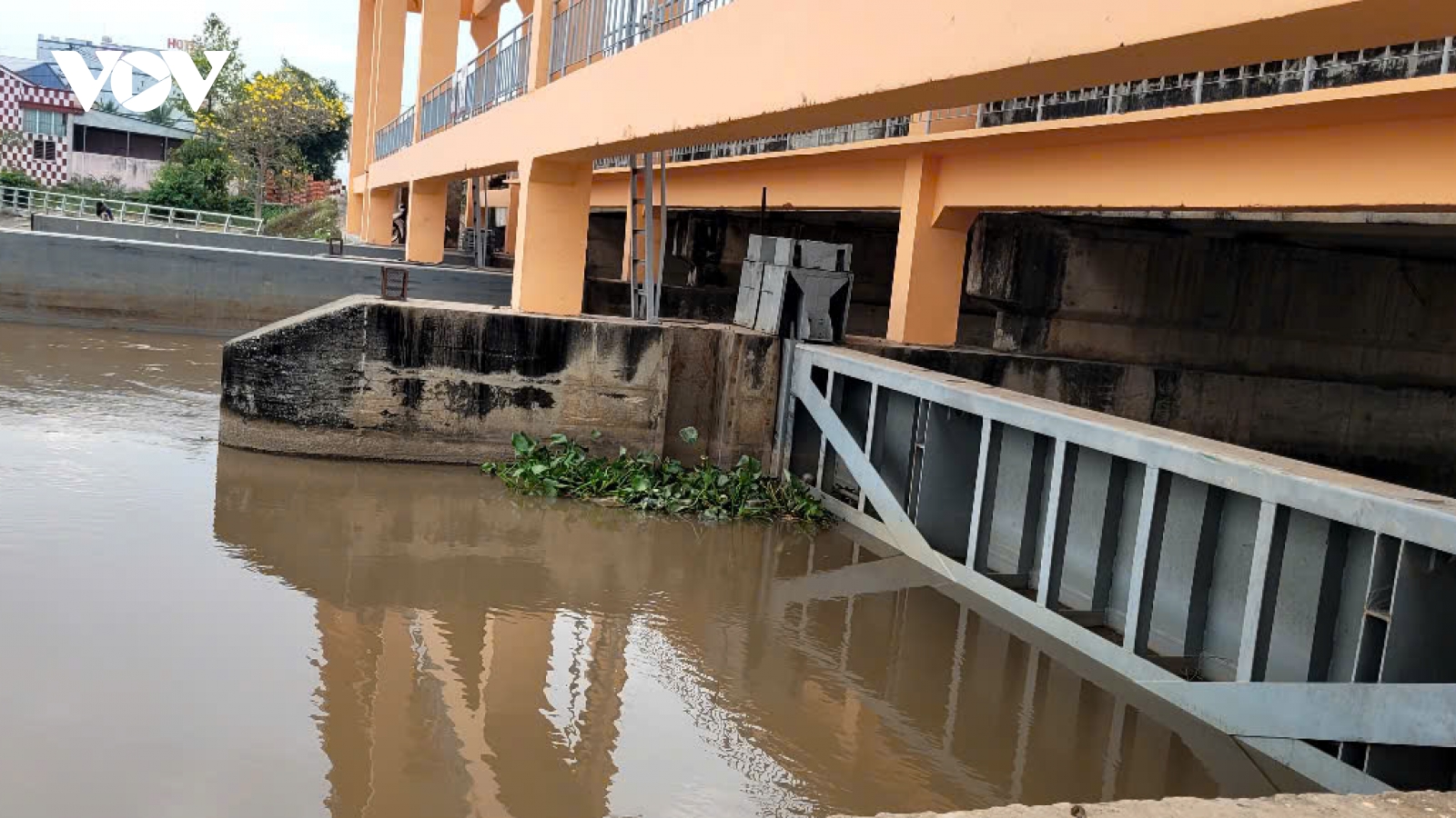 Nước mặn ở Tiền Giang giảm, mở cửa nhiều cống đập “đón” nước ngọt vào nội đồng