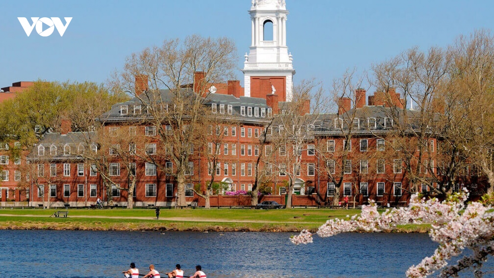 Đại học Harvard kiện chính phủ Mỹ về việc đóng băng hơn 2,2 tỷ USD tài trợ