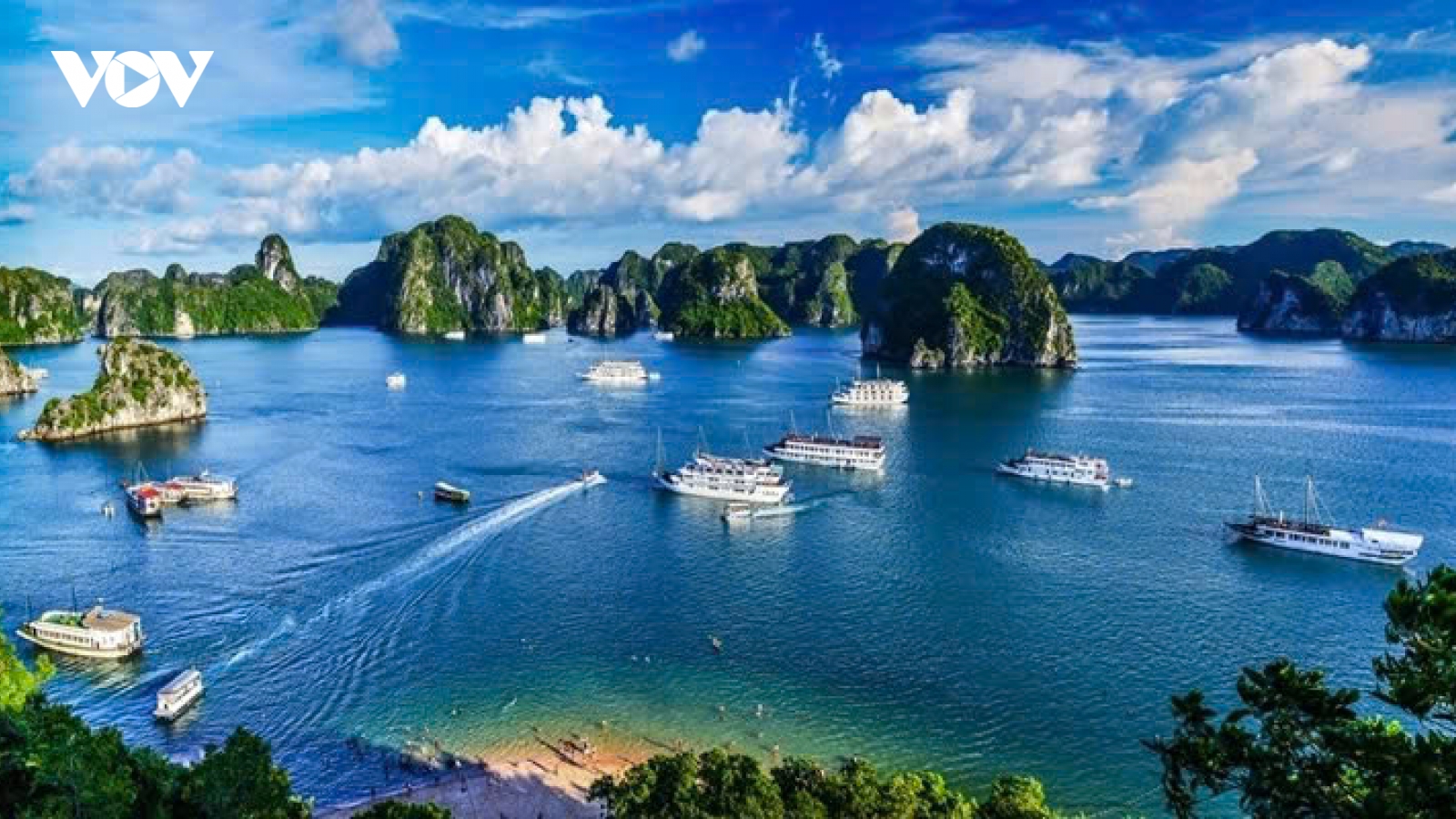 Chi tiết tên phường, xã của tỉnh Quảng Ninh sau sáp nhập