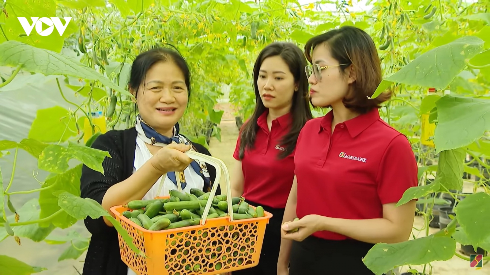 Tiếp sức sản xuất, đồng hành cùng triệu hộ kinh doanh