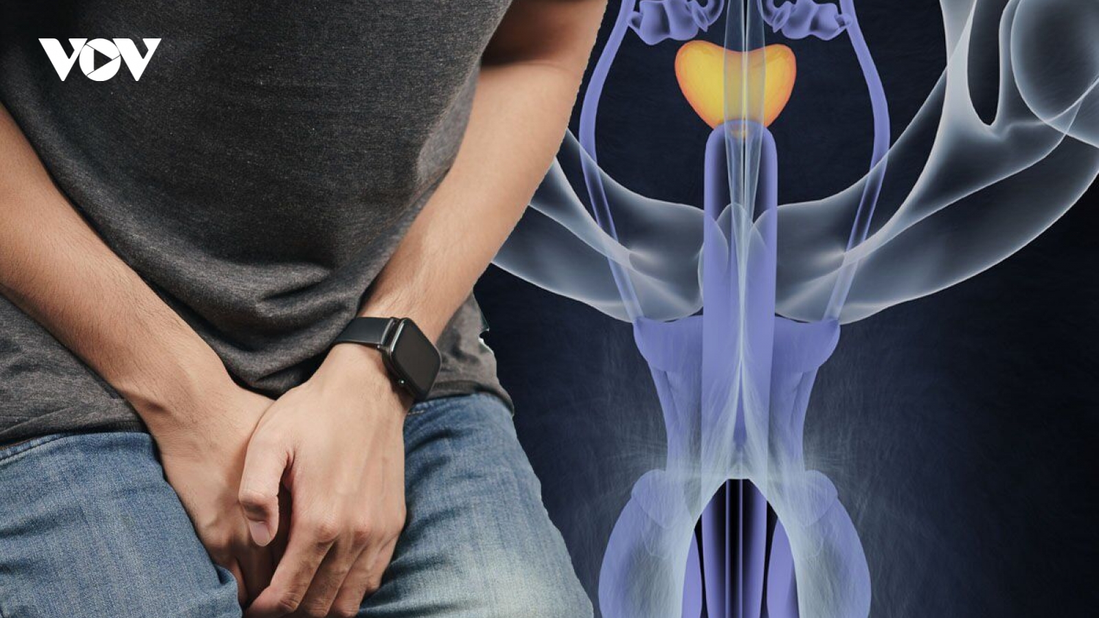 Những dấu hiệu cần lưu ý vì đó có thể là chỉ dấu bệnh ung thư tinh hoàn