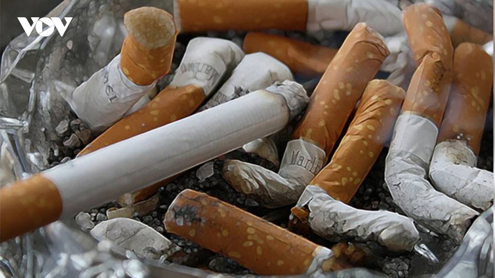 Đột nhiên bị liệt nửa người vì thói quen mà rất nhiều đàn ông mắc phải