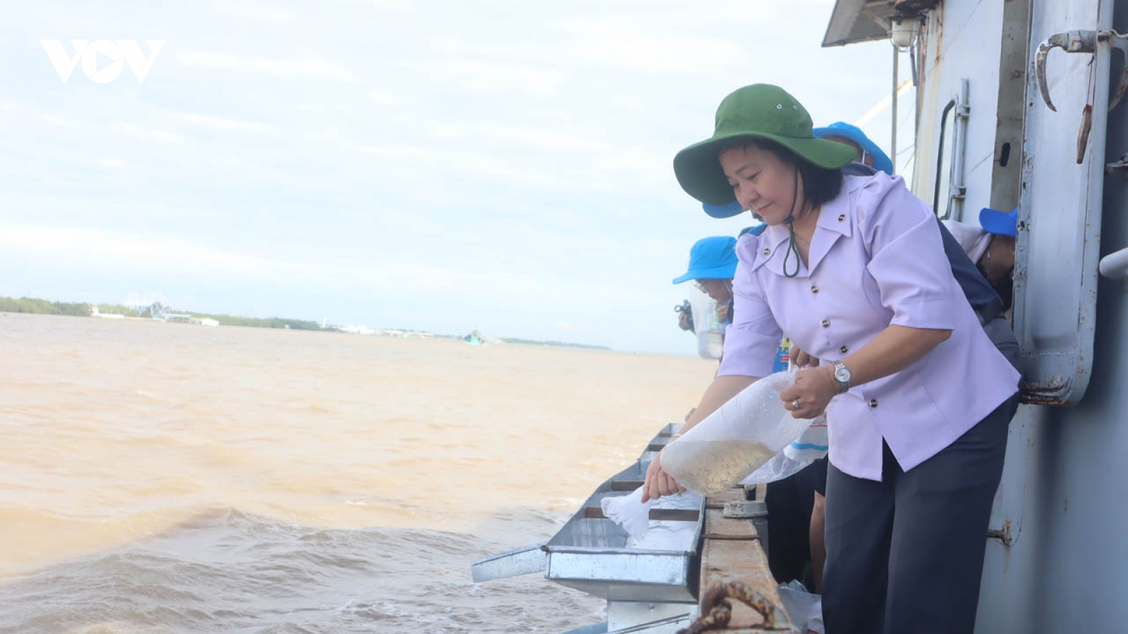 Sóc Trăng thả 1,5 triệu con tôm sú giống về tự nhiên