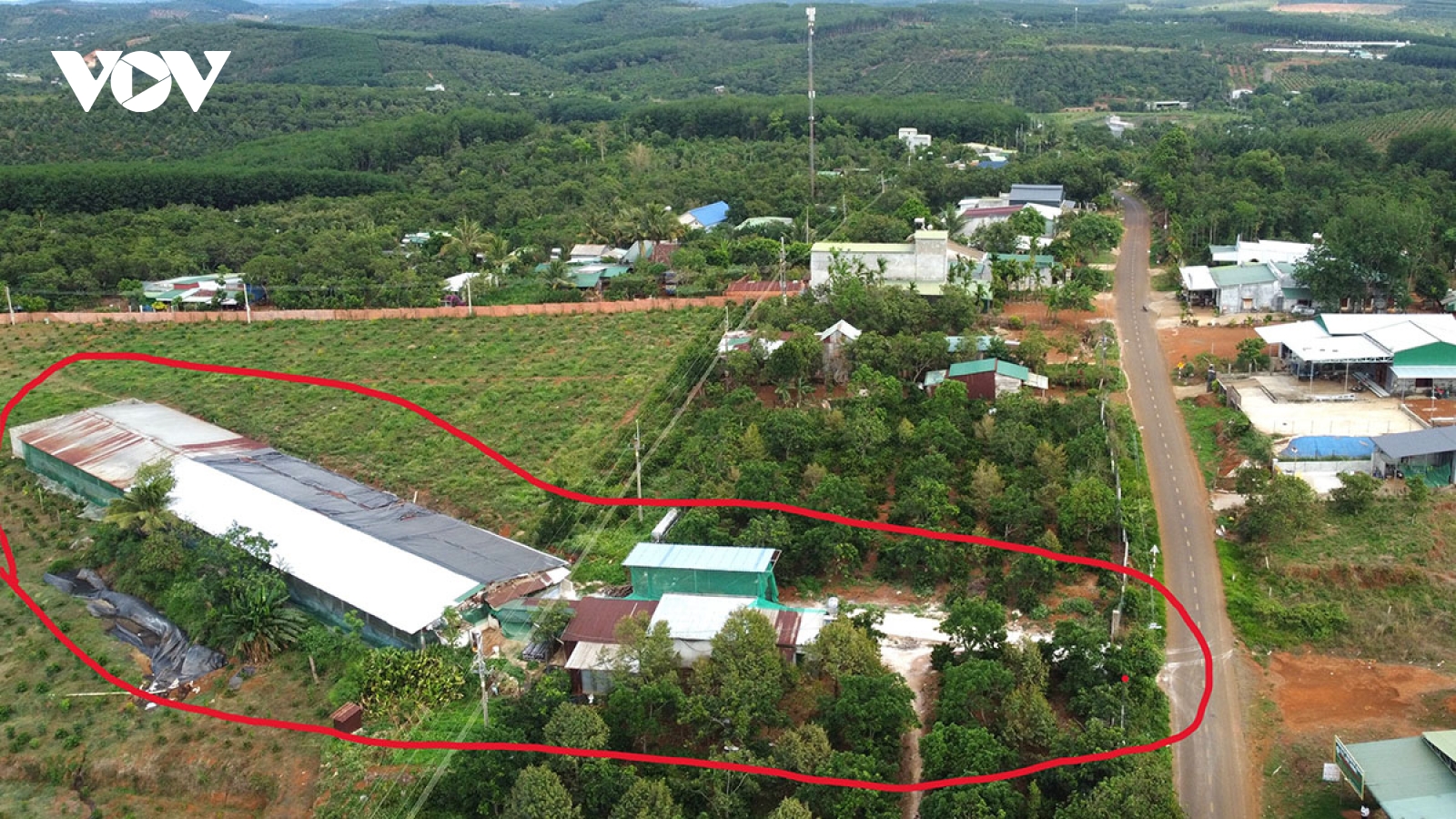 Trang trại lợn giữa khu dân cư, cách trụ sở xã 2 km, gây ô nhiễm môi trường
