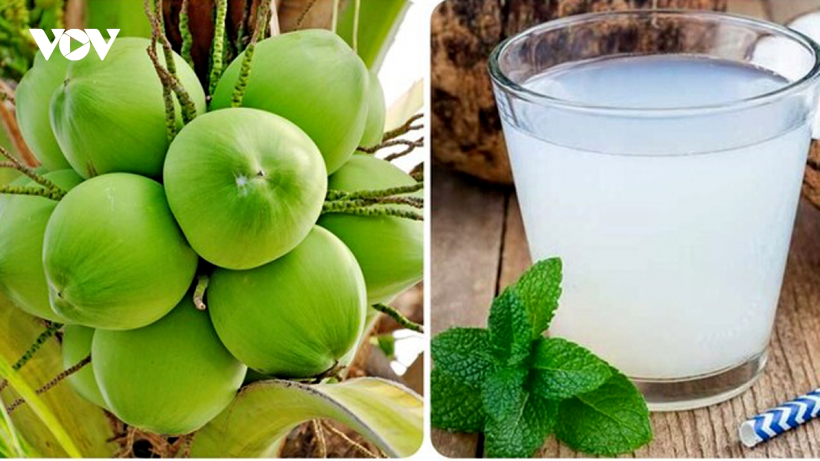 Uống nước dừa buổi sáng có tác dụng gì?