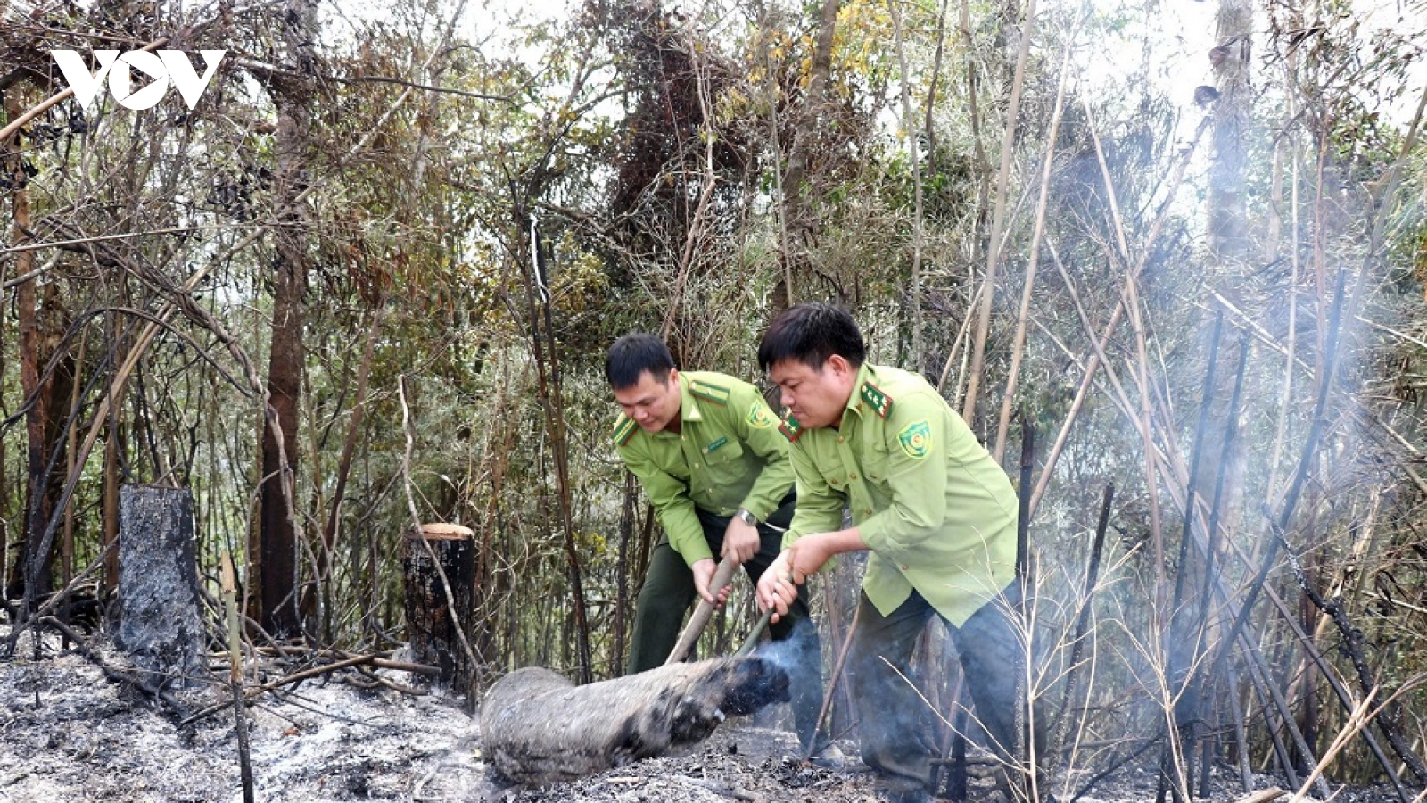 Trong 3 ngày liên tiếp xảy ra 18 vụ cháy rừng ở Bắc Giang
