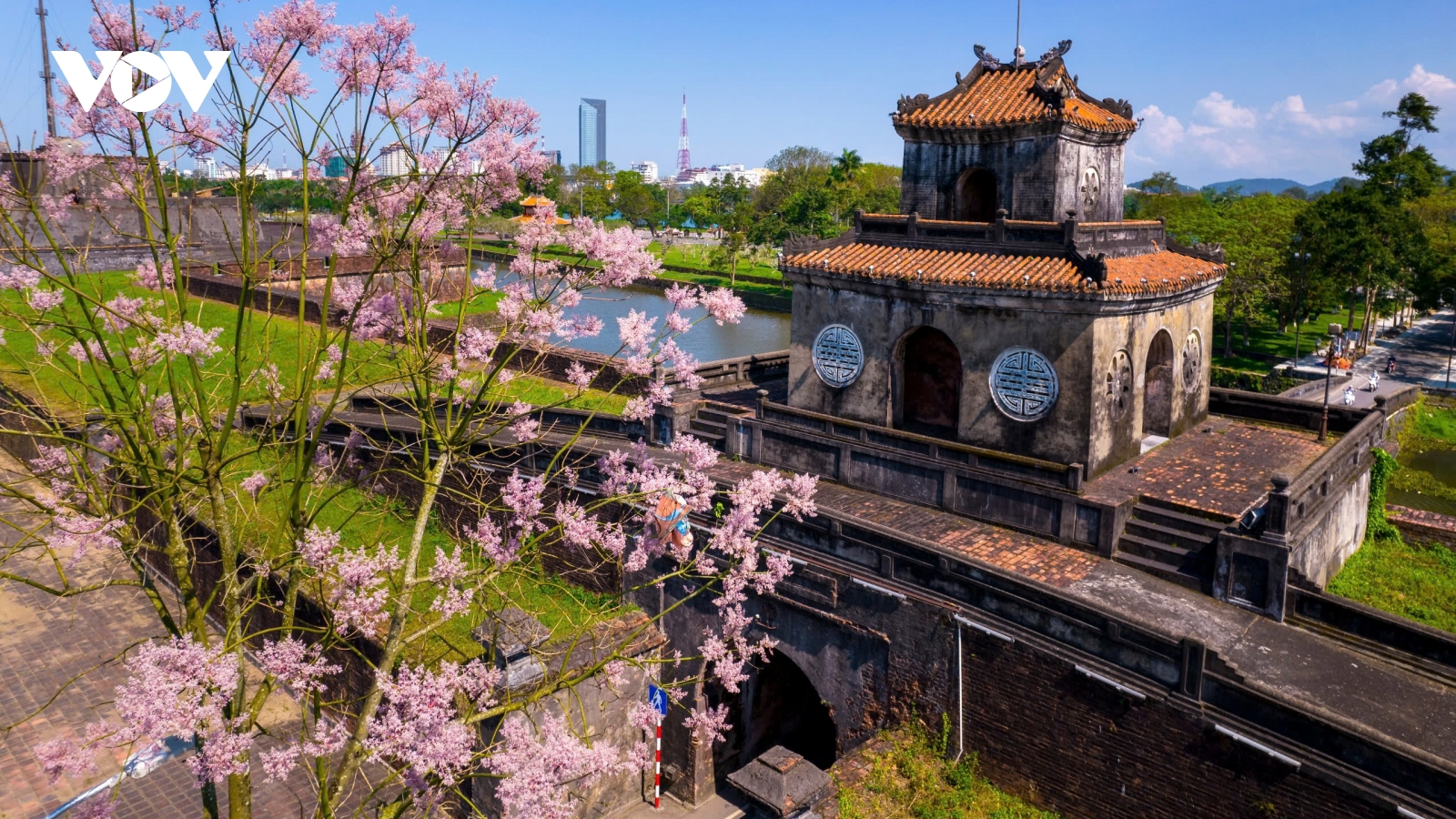 Ngắm “vương giả chi hoa” khoe sắc trong Quần thể di tích cố đô Huế