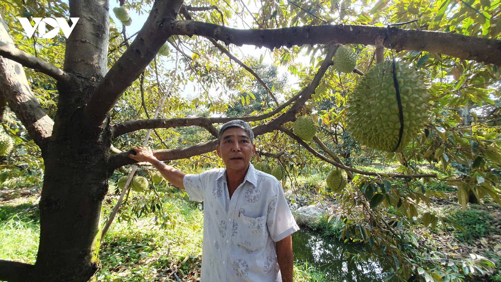 Tiên phong thay đổi, vướng mắc tư duy