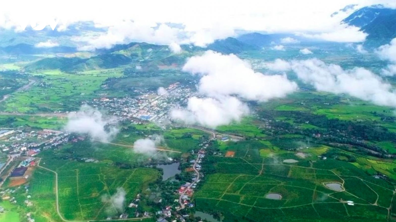 Tan Uyen tea hill - a green jewel hidden in northwestern mountains