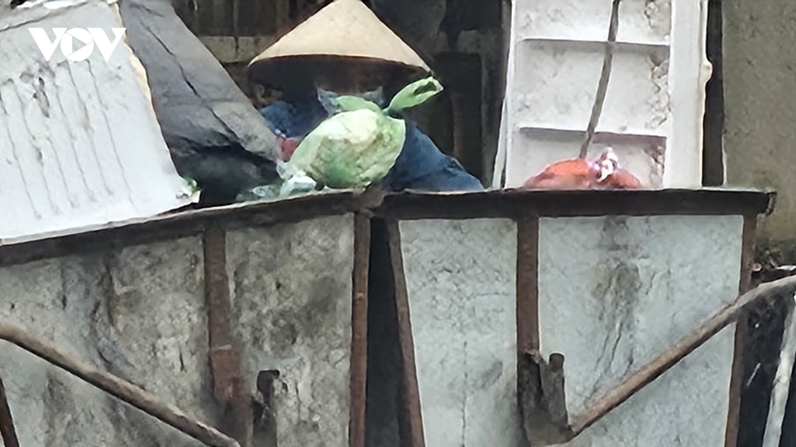 Các bác ấy đang phân loại rác