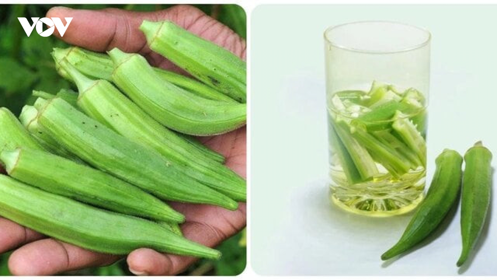 5 lý do bạn nên uống nước đậu bắp