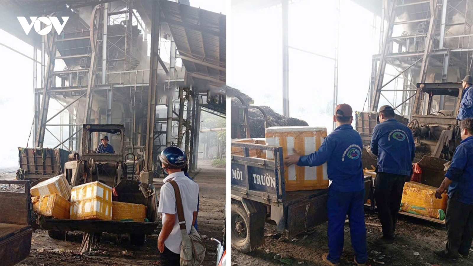 Tiêu hủy khẩn cấp gần 800kg thịt heo nhiễm dịch tả lợn châu Phi ở Bình Phước