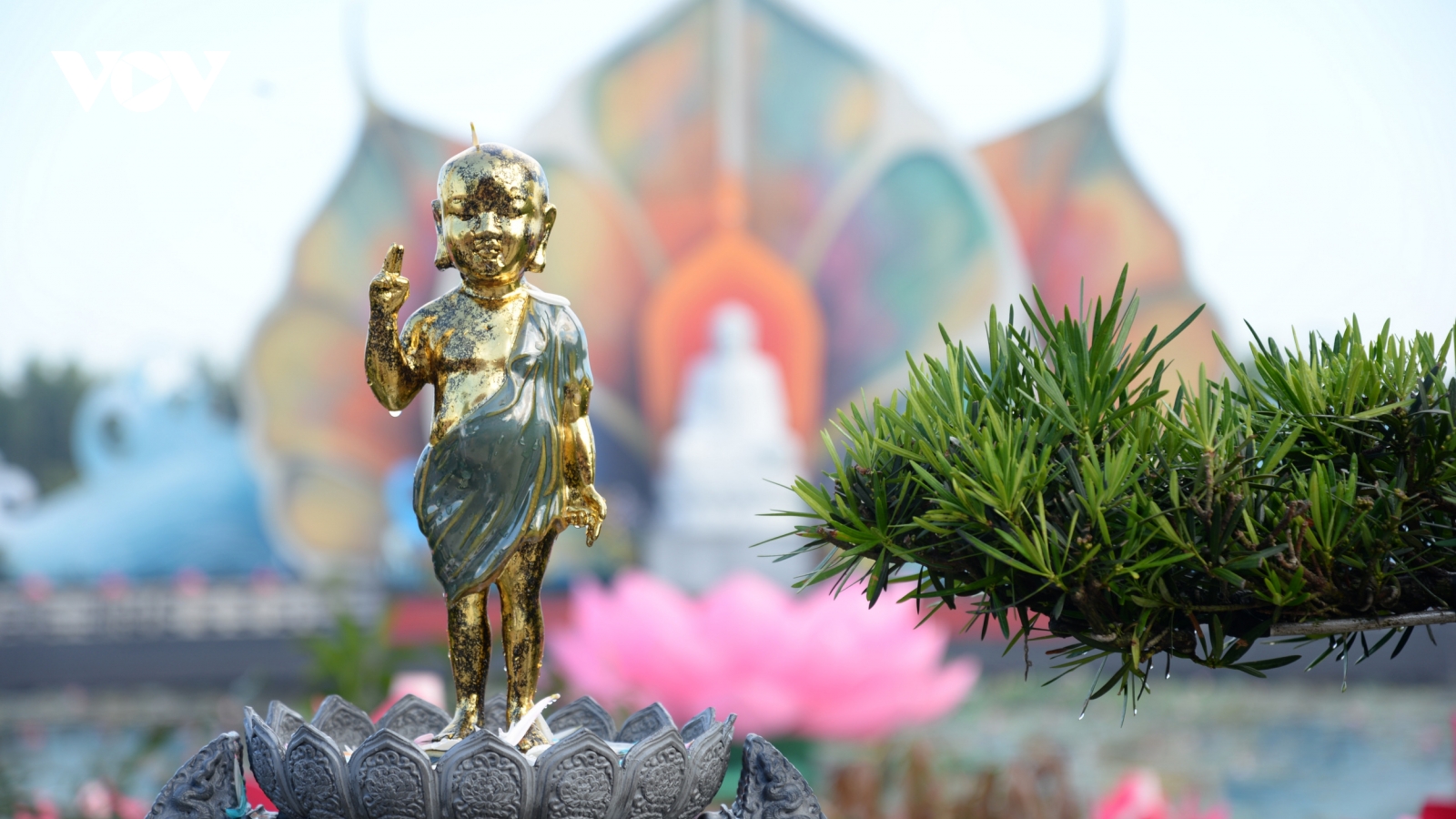 Vesak 2025: Chung tay lan tỏa yêu thương và trí tuệ vì một thế giới hòa bình