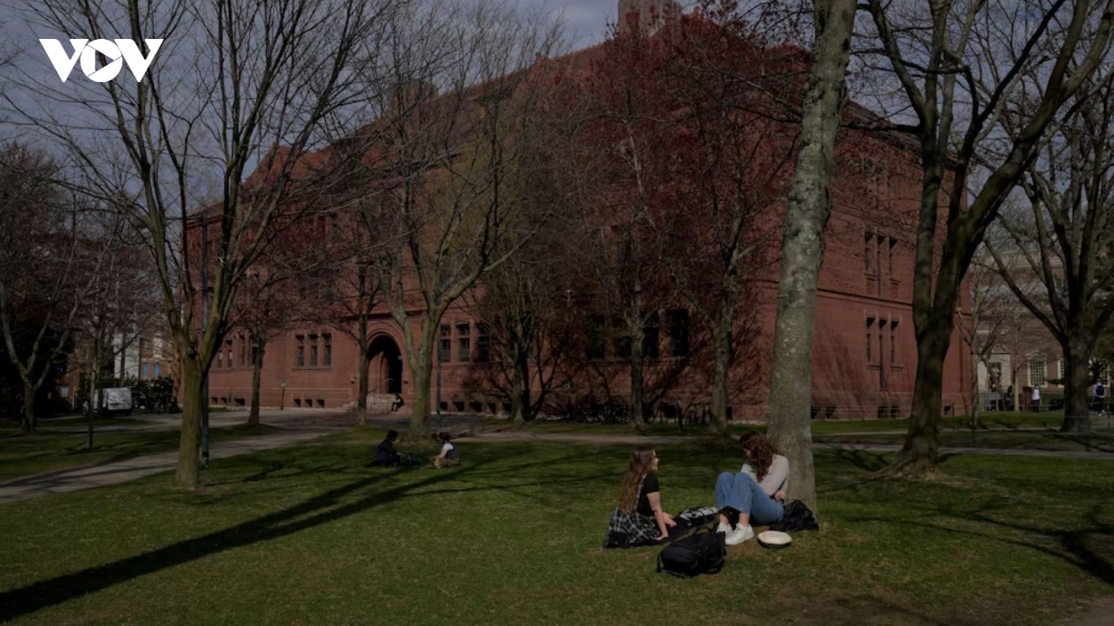 Ông Trump sẽ thu hồi quyền miễn thuế của Đại học Harvard?