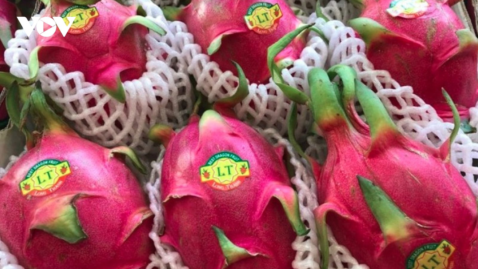 Vietnam, UK deepen agricultural partnership through stronger business links