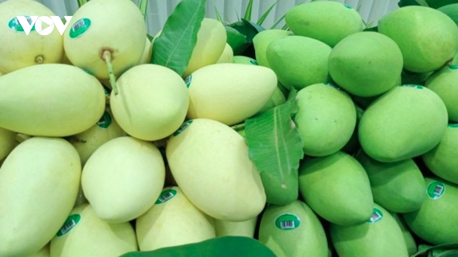 Vietnam’s agricultural exports move beyond low-cost competition