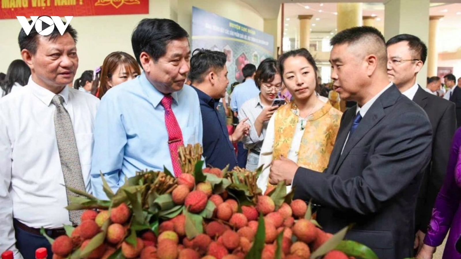 Bac Giang targets premium lychee quality, global market expansion