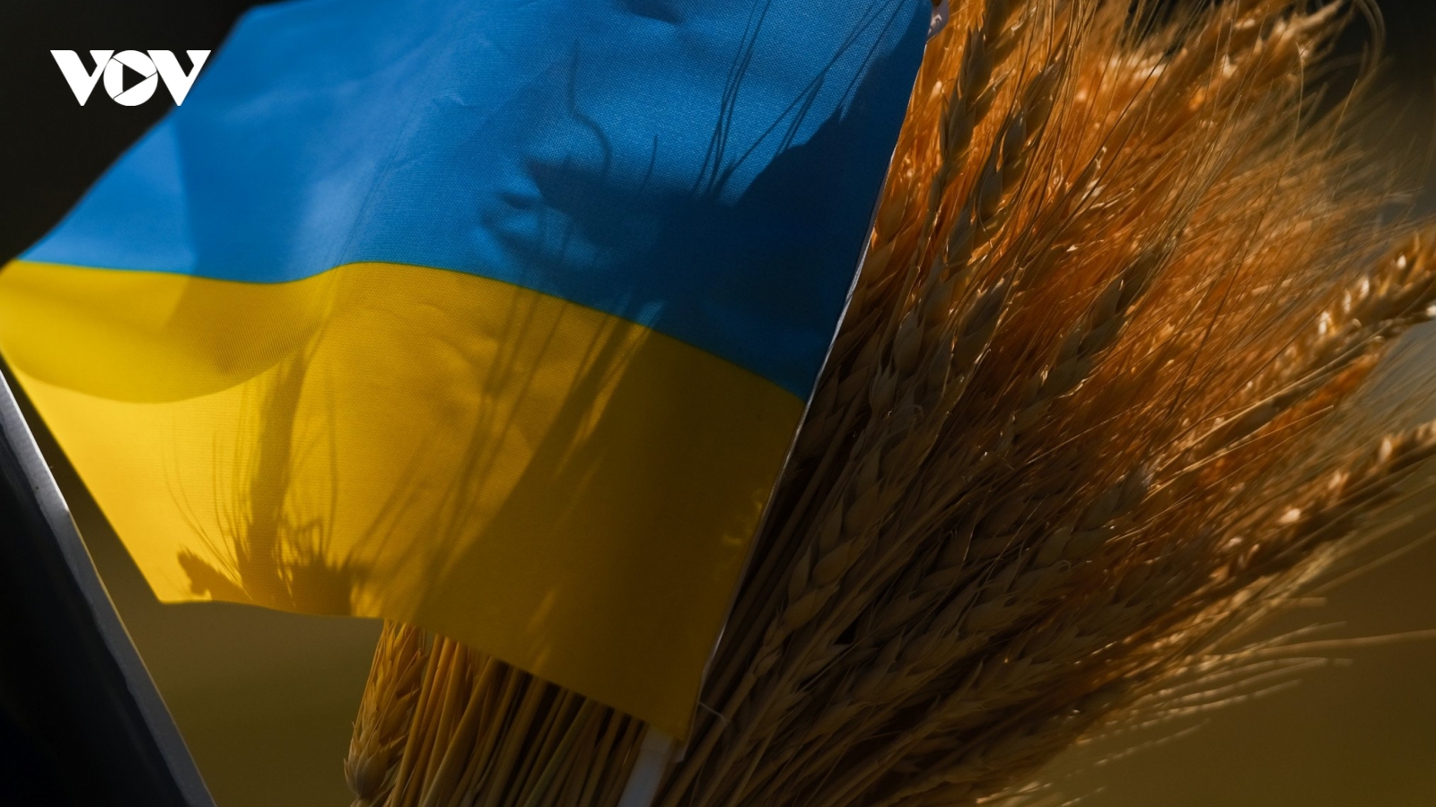 EU sẽ giảm hạn ngạch miễn thuế đối với các sản phẩm nông nghiệp của Ukraine