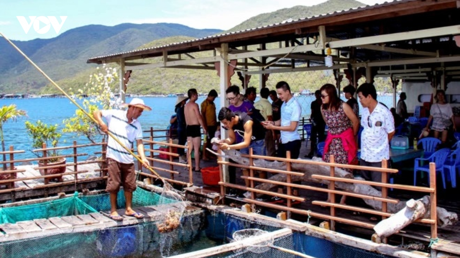 Xử lý vụ “chặt chém” du khách ở bè nổi đảo Trí Nguyên, Khánh Hòa