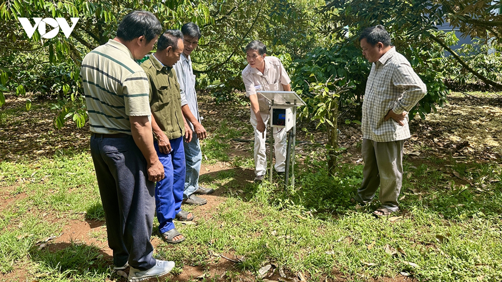 Nông dân Đắk Lắk bước vào kỷ nguyên số