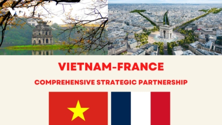 Vietnam-France comprehensive strategic partnership in focus